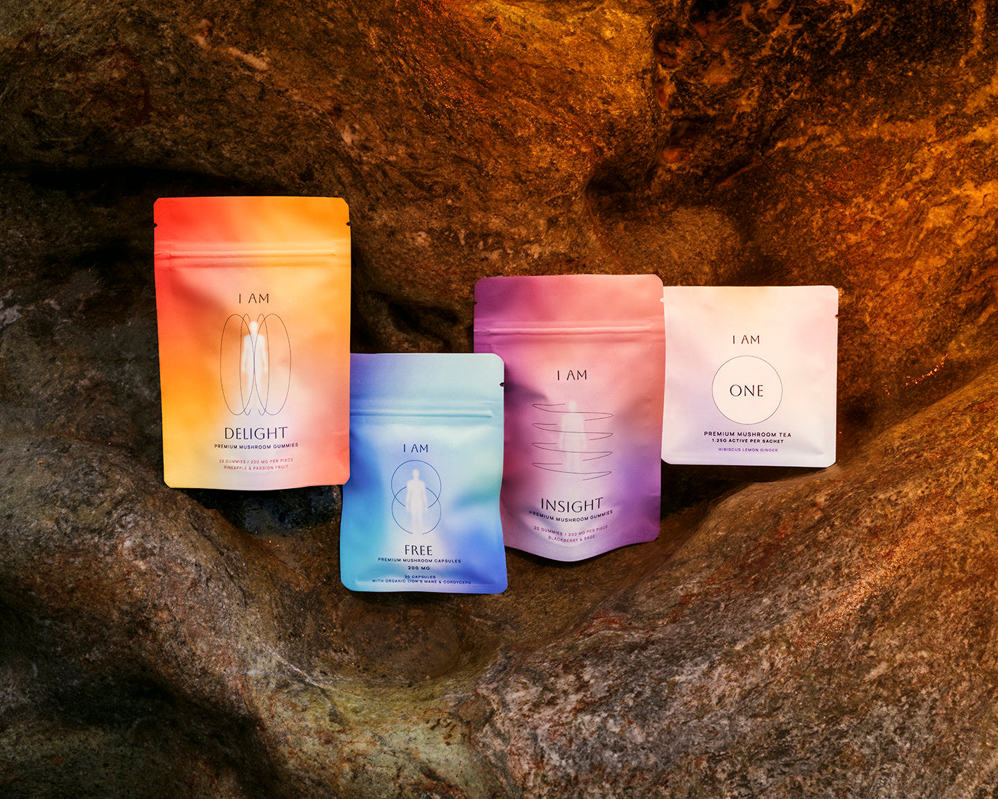 Discovery Pack