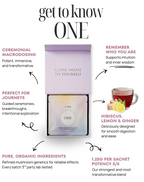 infographic